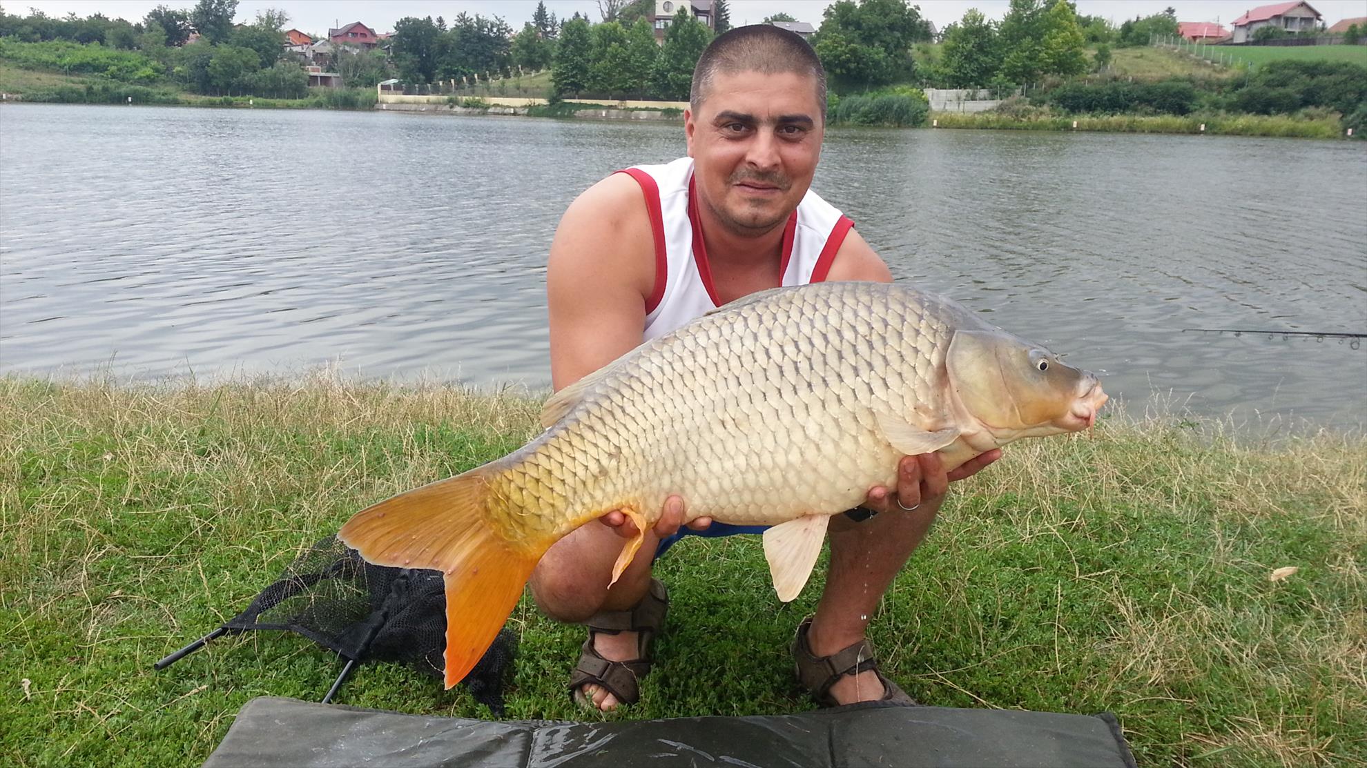 MV 2 august 2013 - MV 2